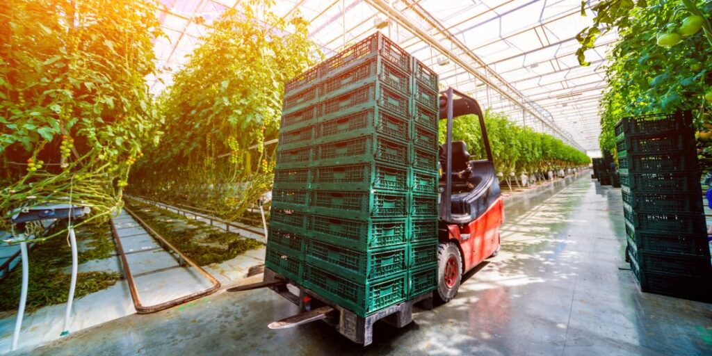 Green Forklifts - Apex Companies